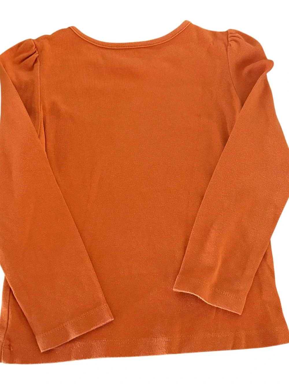 Gymboree 2013 Fashionable Fox Rhinestone Long Sleeve Top